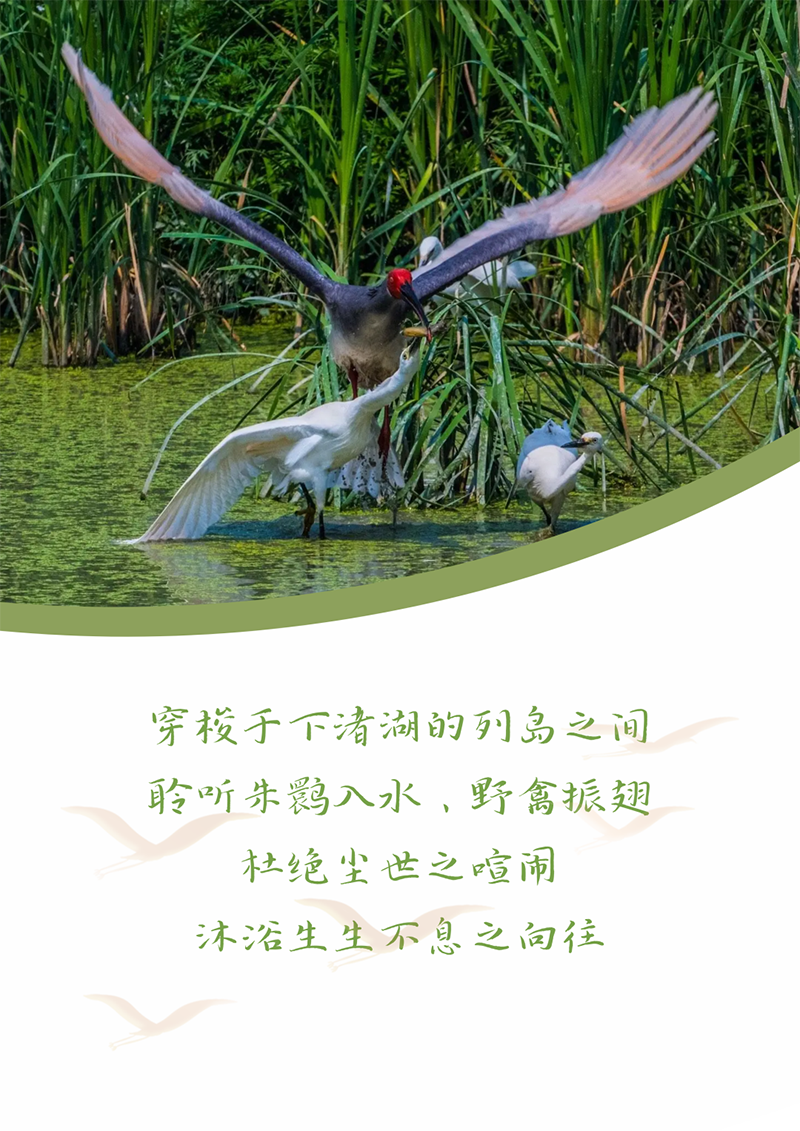 心心念廿 相伴U8国际 | 与德清相约 贺廿载诞辰